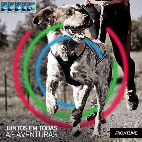 Imagem de Frontline Topspot Cães Antipulga Carrapato Boehringer 20 A 40kg